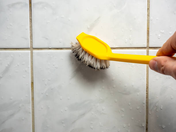 Best Mold Removal Company Near Me  in Reed City, MI