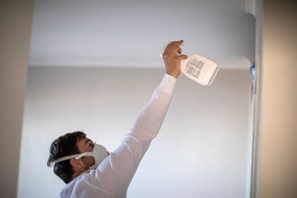 Best Mold Testing  in Reed City, MI