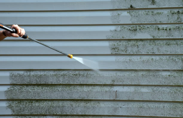 Best Mold Cleaning Services  in Reed City, MI