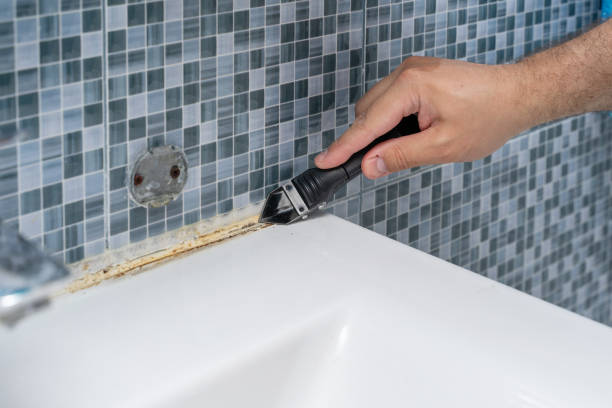Trusted Reed City, MI Mold Removal Experts