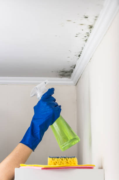 Water Damage Restoration in Reed City, MI